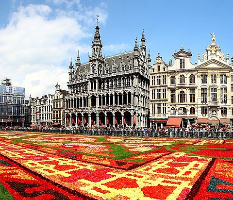 Blühendes Belgien
